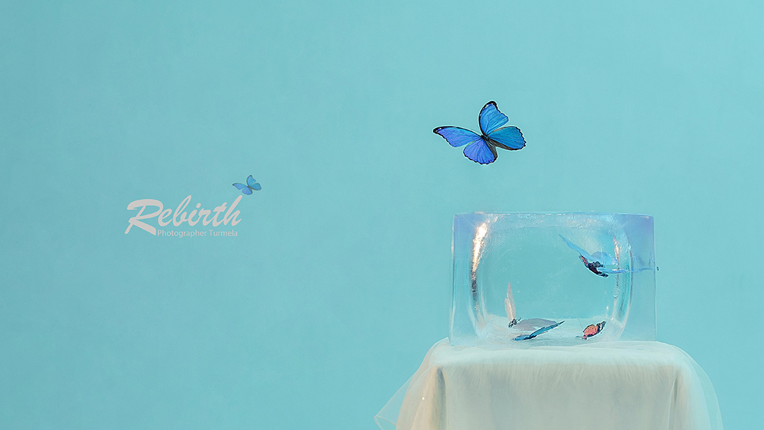 梦与蝶_成都儿童照照，儿童艺术照