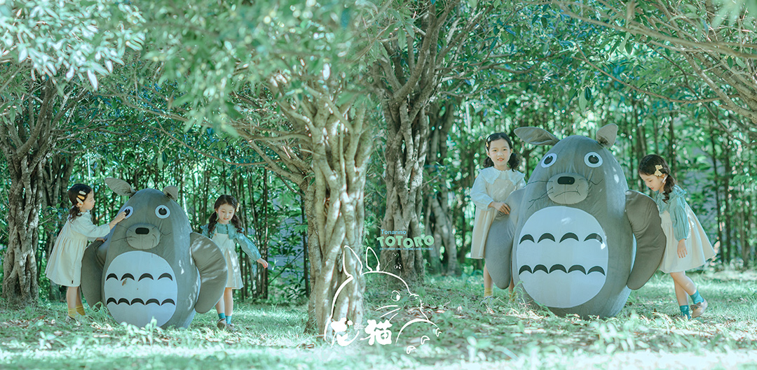 龙猫_宝宝照，主题照，外景照