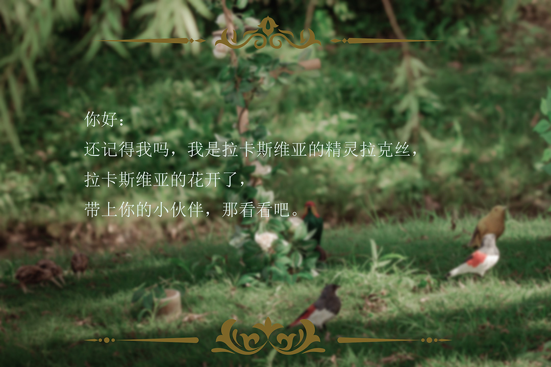 远方_宝宝照儿童照，主题照，外景照