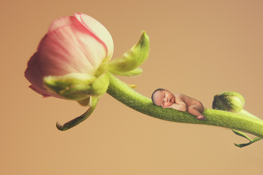 以花之名_宝宝照 ；新生儿宝宝照； 上门拍摄宝宝照