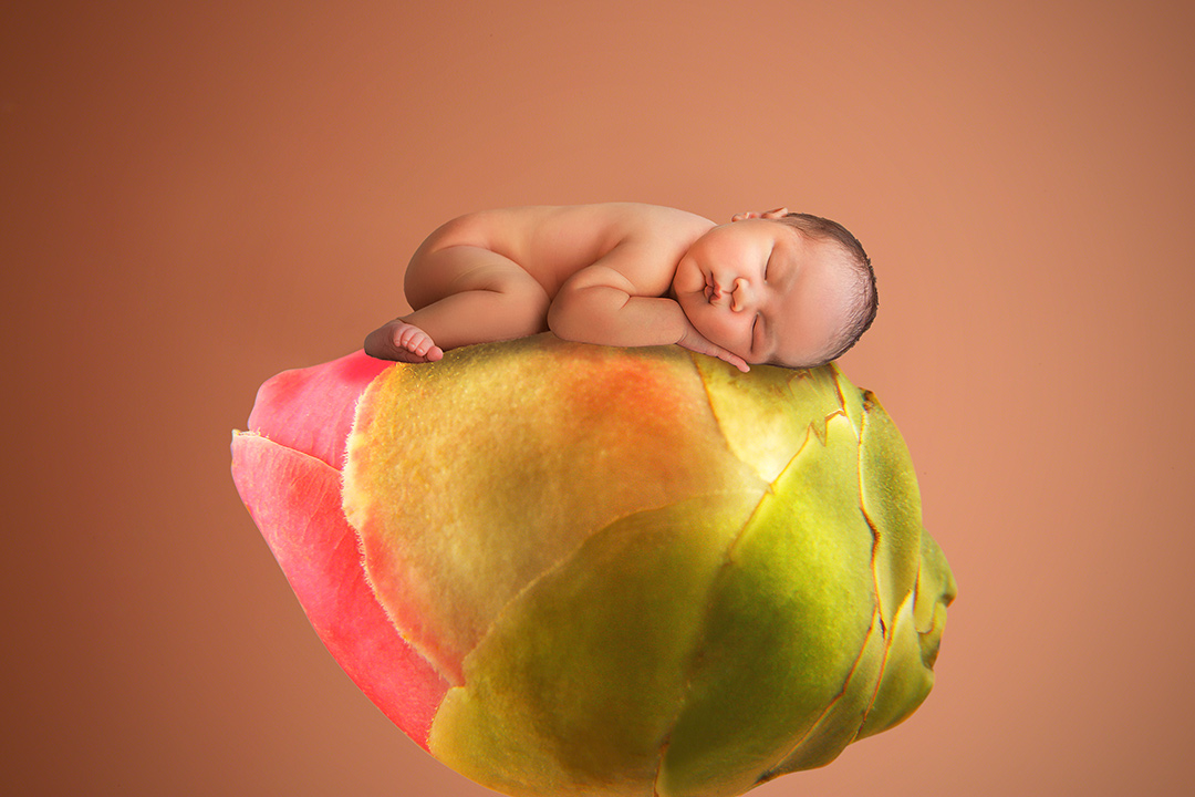 以花之名_宝宝照 ；新生儿宝宝照； 上门拍摄宝宝照