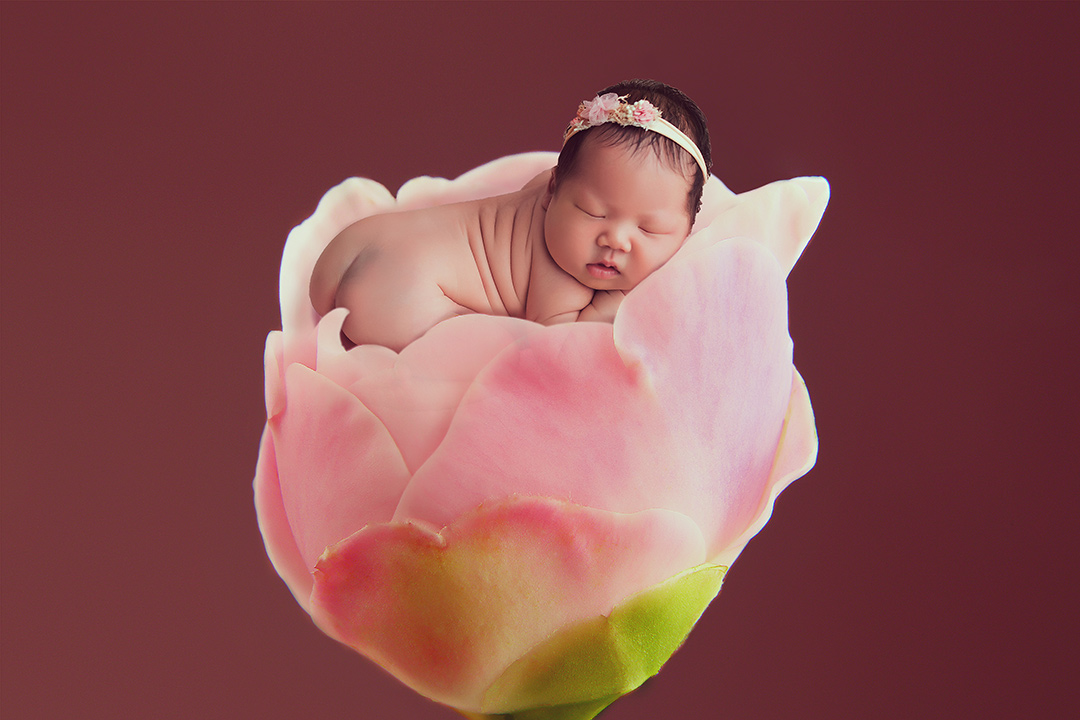 以花之名_宝宝照 ；新生儿宝宝照； 上门拍摄宝宝照