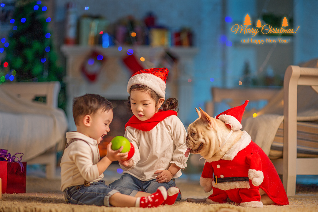 圣诞宝贝家族_宝宝照；儿童照；成都儿童照宝宝照