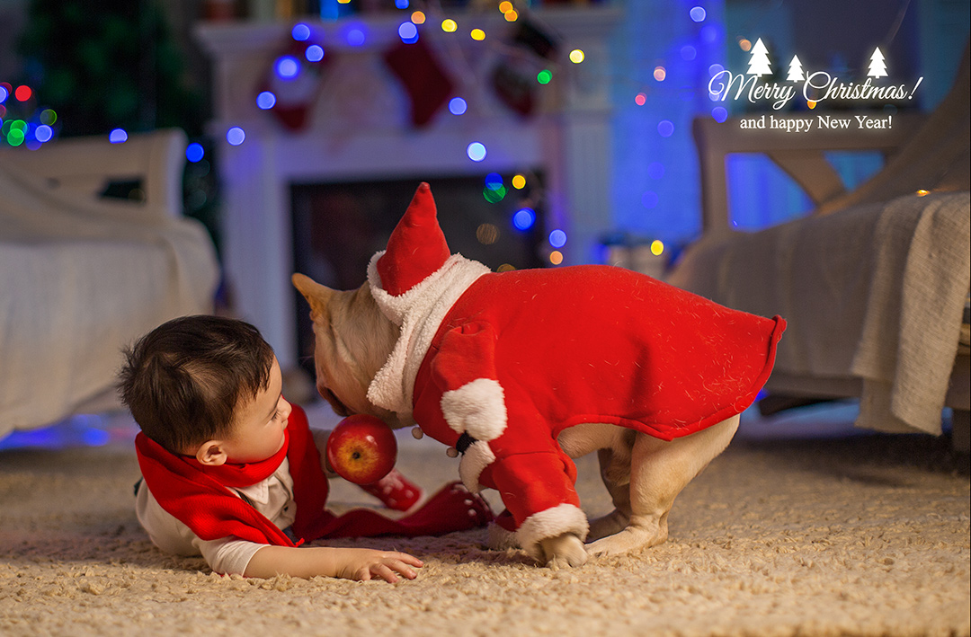 圣诞宝贝家族_宝宝照；儿童照；成都儿童照宝宝照