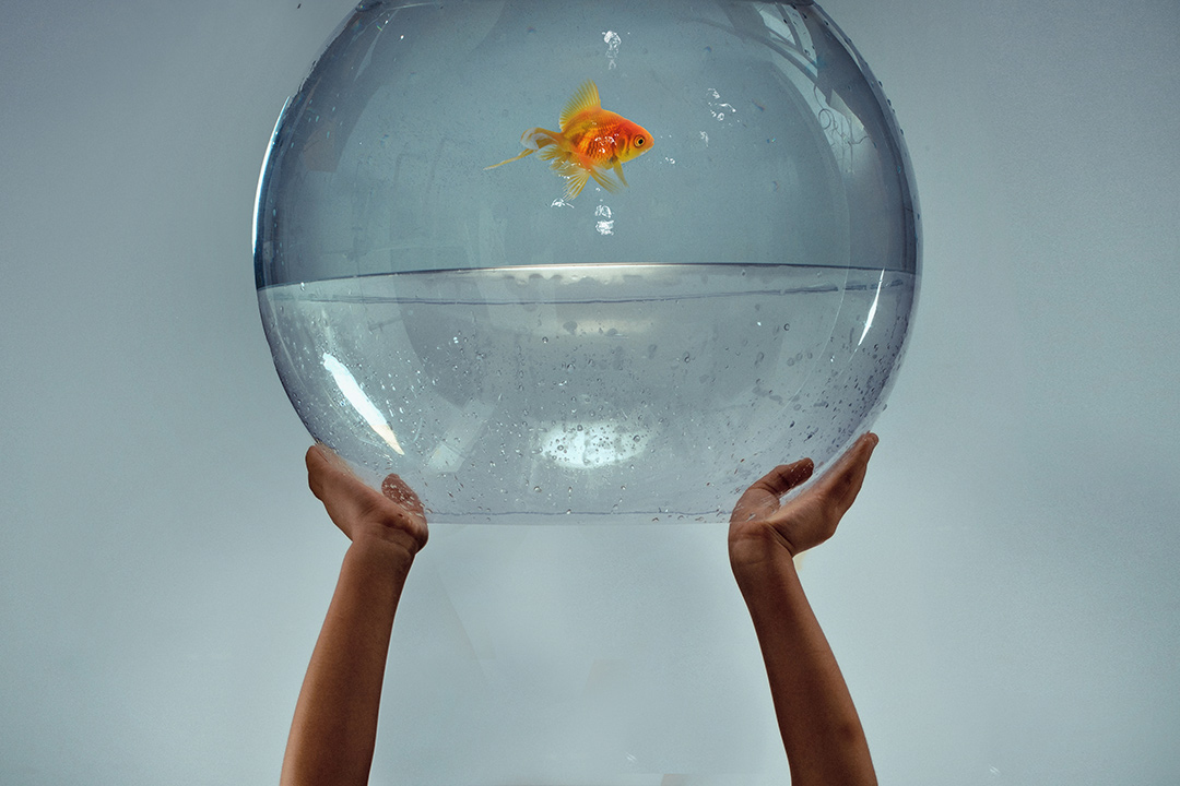 遥望深海_宝宝照；周岁照；生日照；儿童照