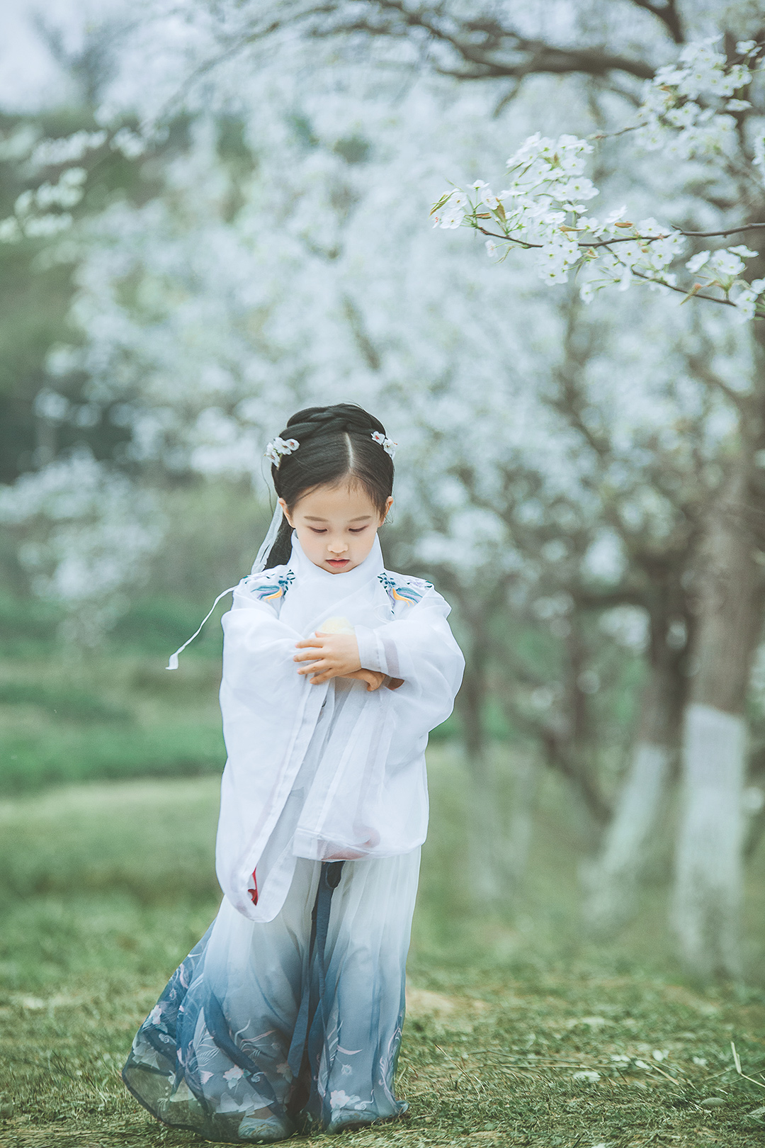 梨花颂_成都儿童照照，儿童艺术照；亲子照；母子照；亲子全家福；古装照；汉服写真