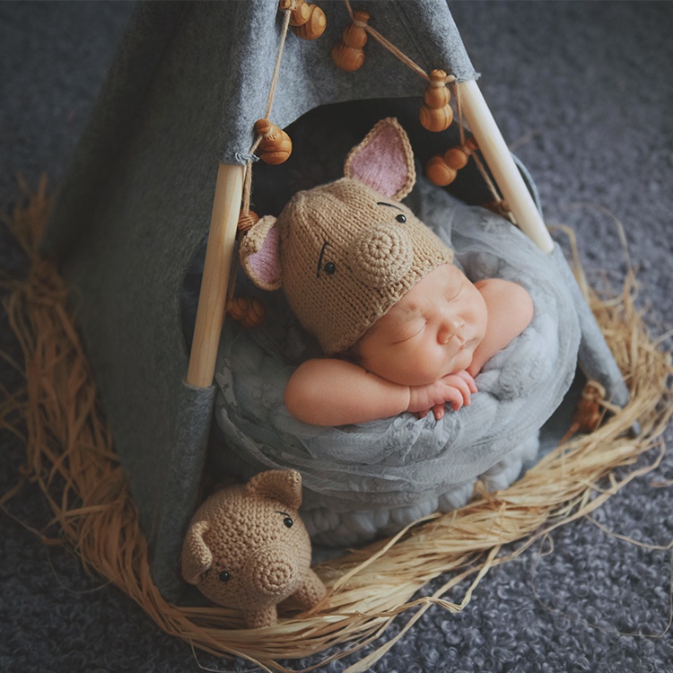 小猪猪的野炊帐篷