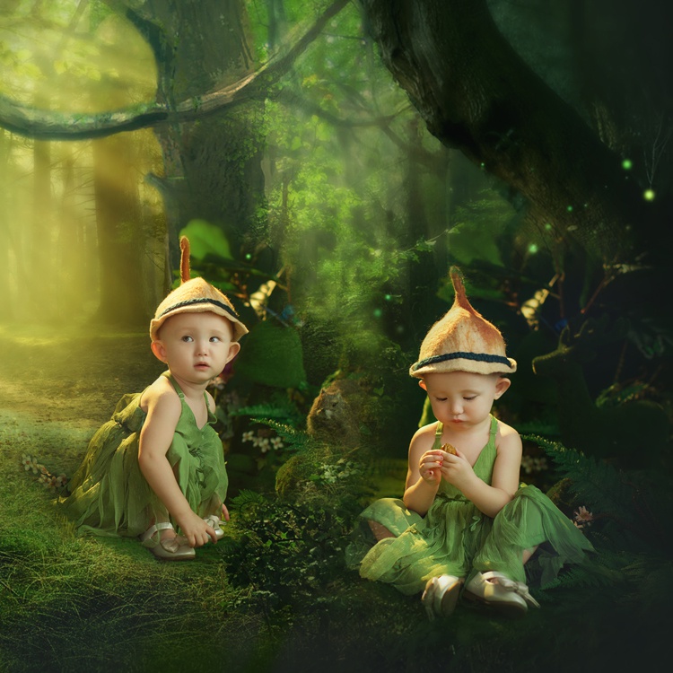 伯利夏尔的森林