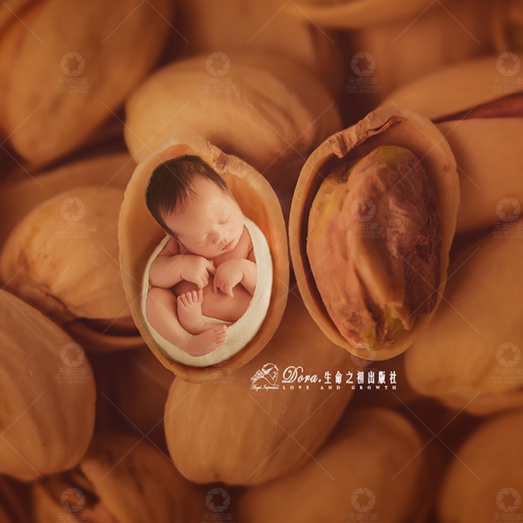 “坚果”里的精灵