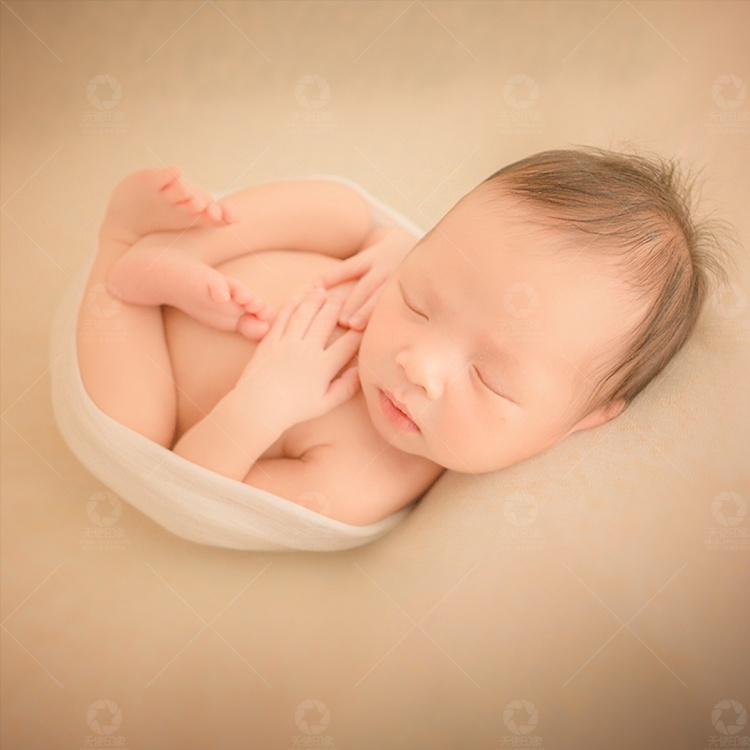 “晶晶”的绽放