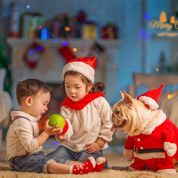 圣诞宝贝家族